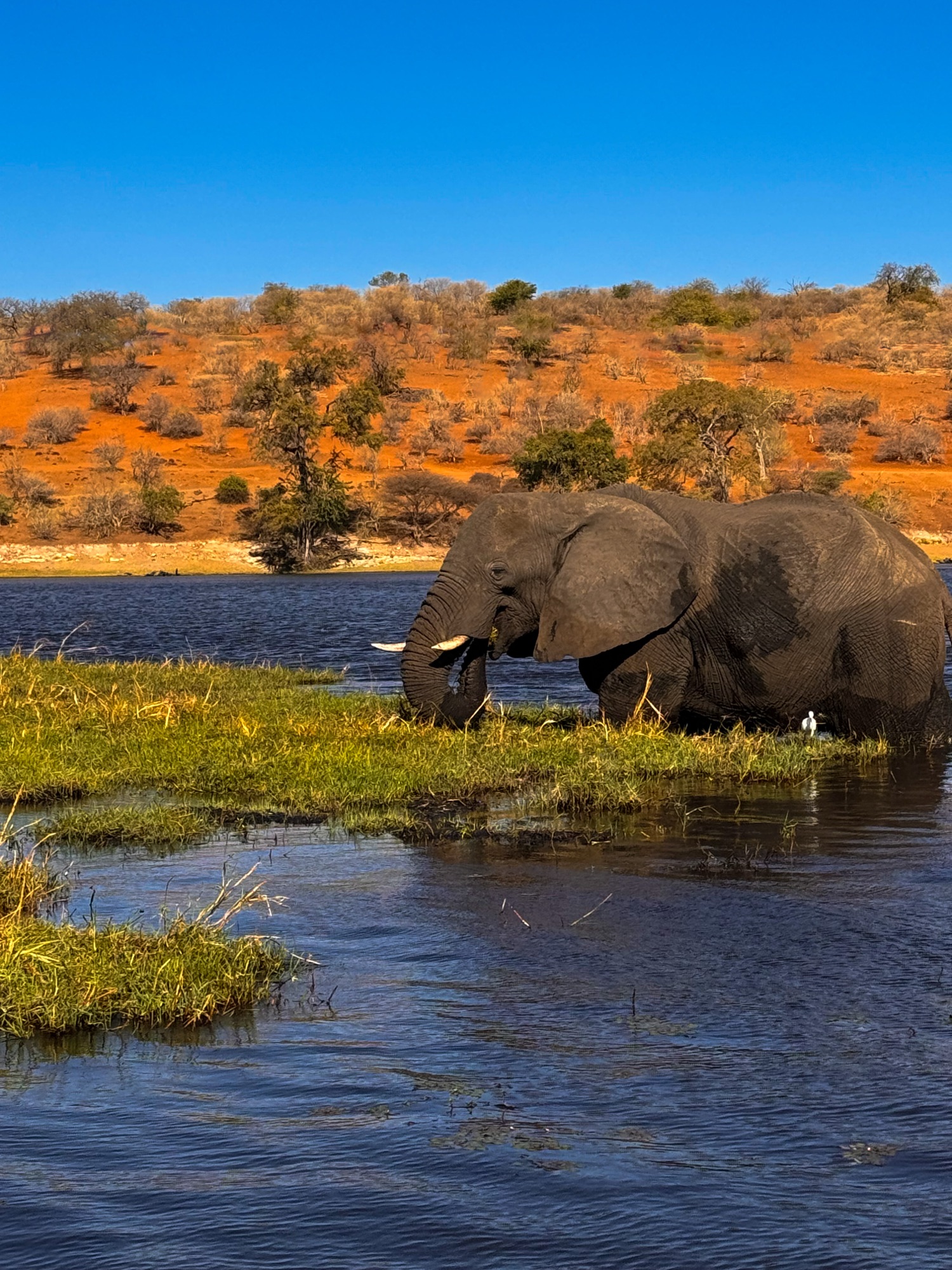 CAMPING IN BOTSWANA!