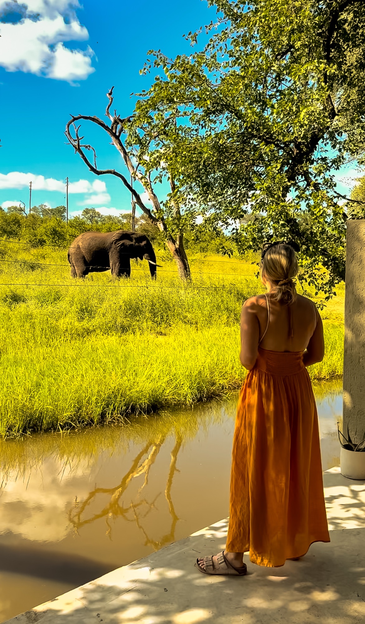 WILD LUXURY: Unveiling the Magic of Chacma Bush Camp